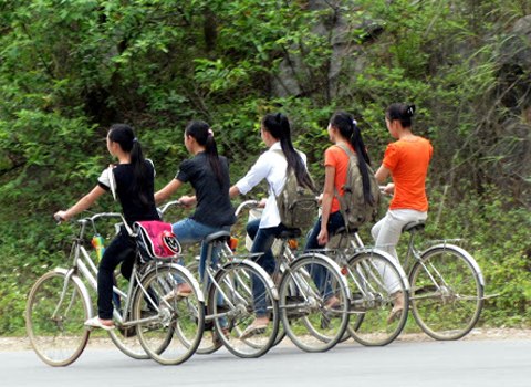 Xe đạp tay ngang  Xe đạp Nghĩa Hải