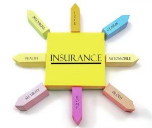 Thời hạn công ty bảo hiểm trả bảo hiểm cho người đóng bảo hiểm được xác định thế nào ?
