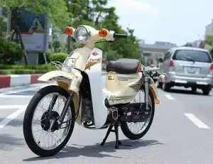xe may cup 50cc 02